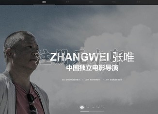 导演网站建设